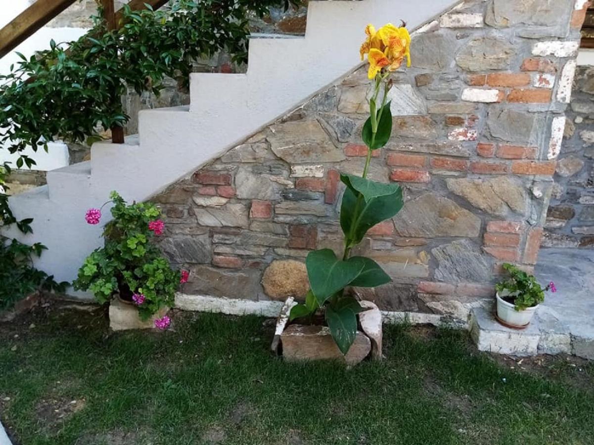 Petrino1880 Sea-Vacation Apartment In Chalkidiki Ayos Nikolaos Dış mekan fotoğraf