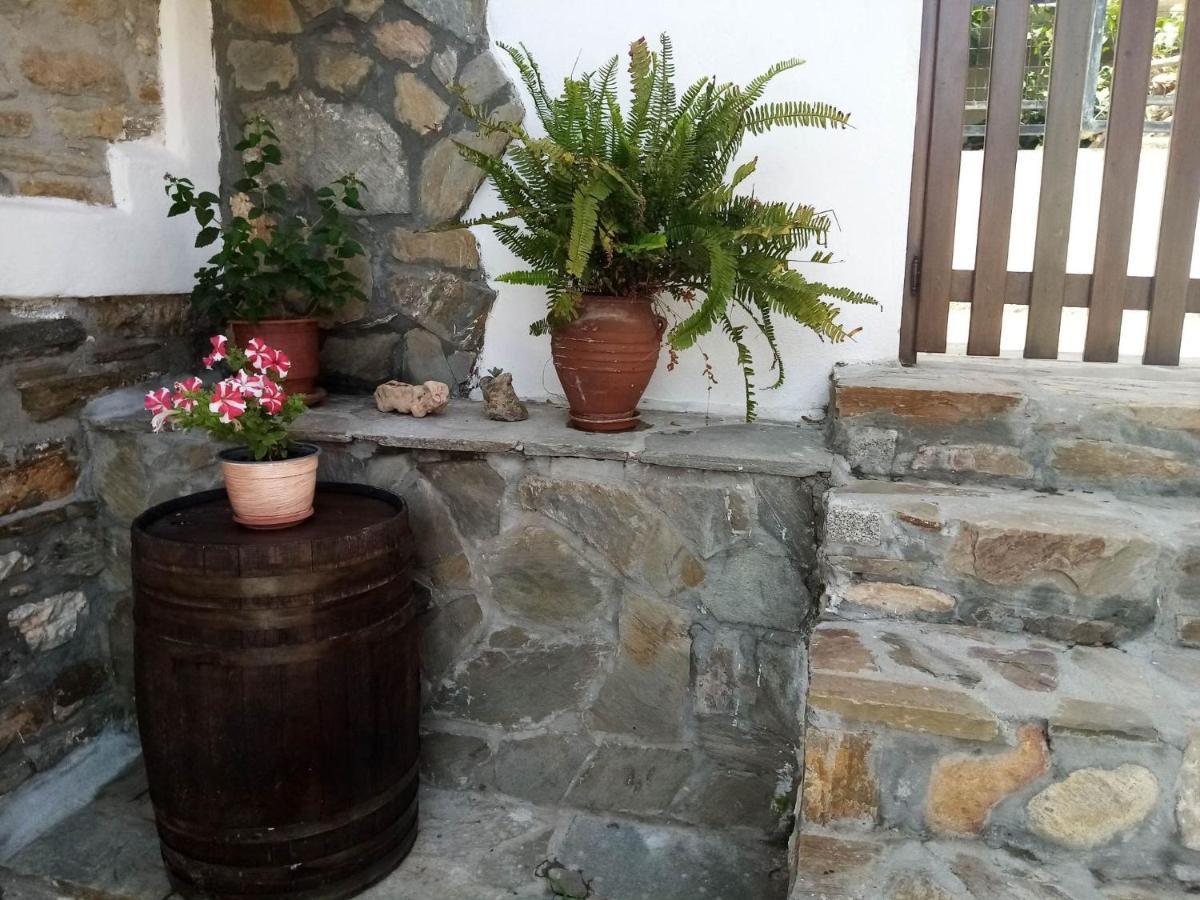 Petrino1880 Sea-Vacation Apartment In Chalkidiki Ayos Nikolaos Dış mekan fotoğraf